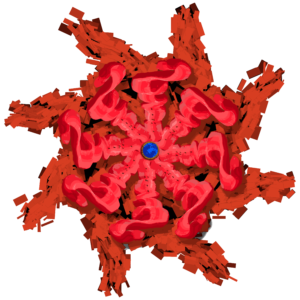 Affectus Crepitus