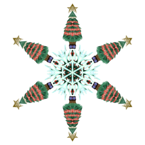 Christmas limited edition